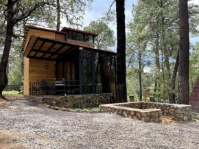 Hermosa Cabaña Inmersa en el Bosque de Tapalpa